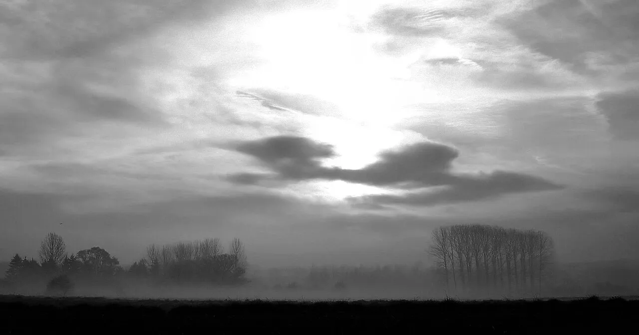 Ochtendmist nabij Leuven, België